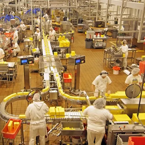 FMCG & Food Processing